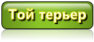 все о той терьерах